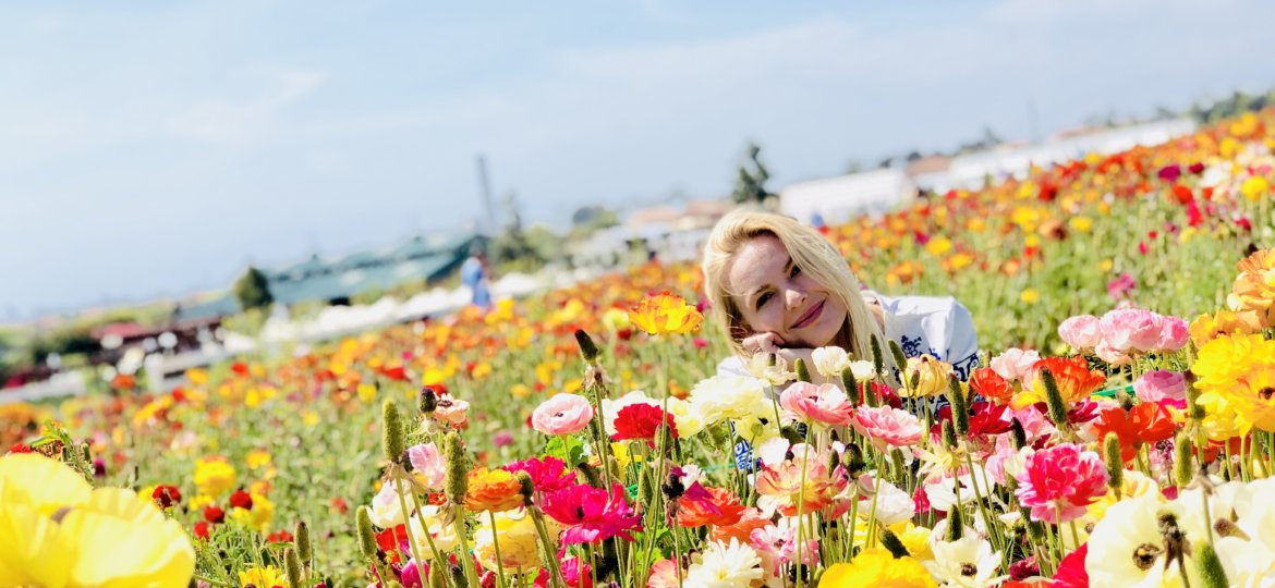 The Flower Fields at Carlsbad